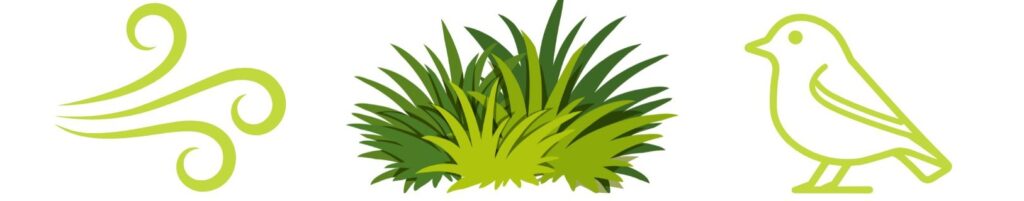 Illustration représentant le souffle du vent, la nature et un oiseau, symbolisant l’harmonie avec les éléments dans le taoïsme