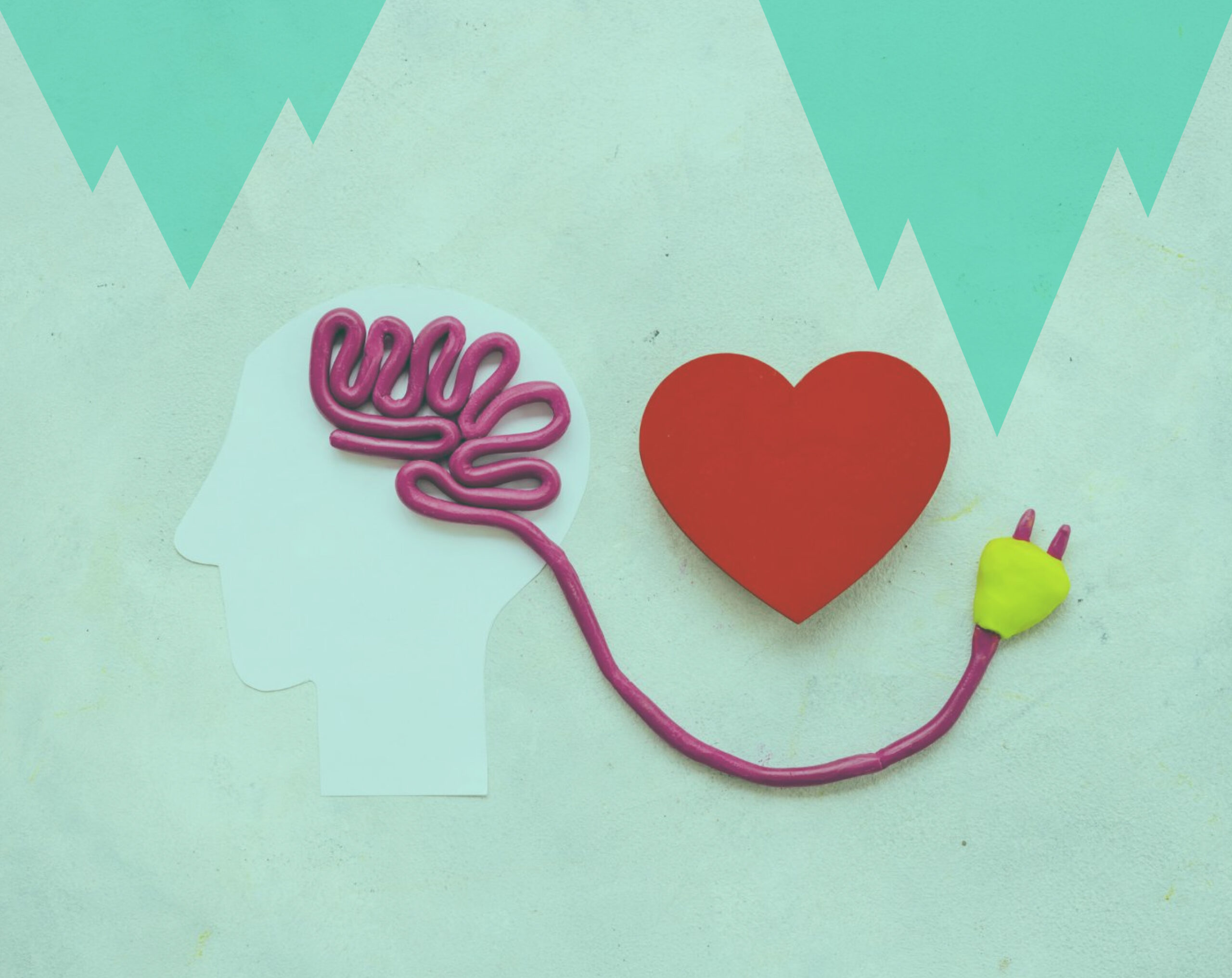 Cerveau et cœur connectés symbolisant l’influence des émotions sur les biais cognitifs