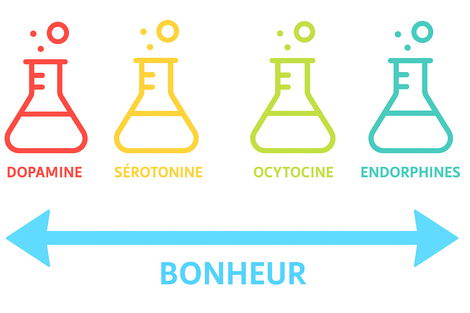 Illustration des hormones du bonheur, montrant dopamine, sérotonine, ocytocine et endorphines, pour expliquer pourquoi on pense toujours à son ex après une rupture