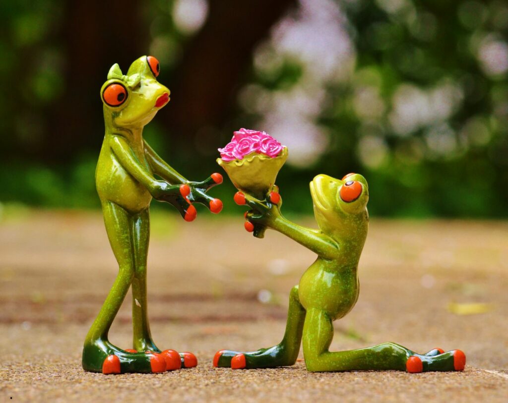 Photo humoristique montrant une grenouille à genoux, tendant un bouquet de fleurs à une autre, symbolisant les cinq langages du pardon