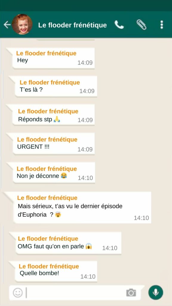 Le flooder Frénétique est un relou WhatsApp