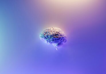 Cette affirmation selon laquelle nous n’utiliserions que 10 % de notre cerveau a été démentie par la science