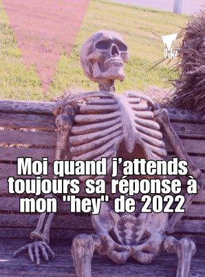 mème humoristique sur le ghosting : un squelette sur un banc avec la légende suivante : "moi quand j'attends toujours sa réponse à on "hey" de 2022"