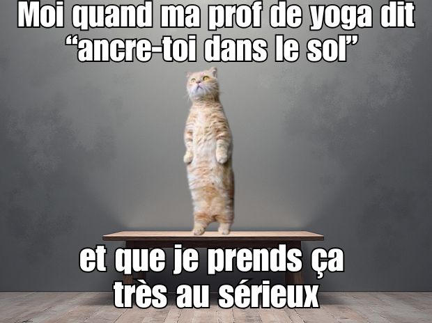 Mème humoristique sur l'ancrage : "Moi quand ma prof de yoga dit "ancre-toi dans le sol" et que je prends ça très au sérieux, représenté par un chat droit comme un i