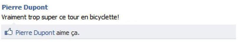 Le top 10 des boulets sur Facebook : l'auto-likeur