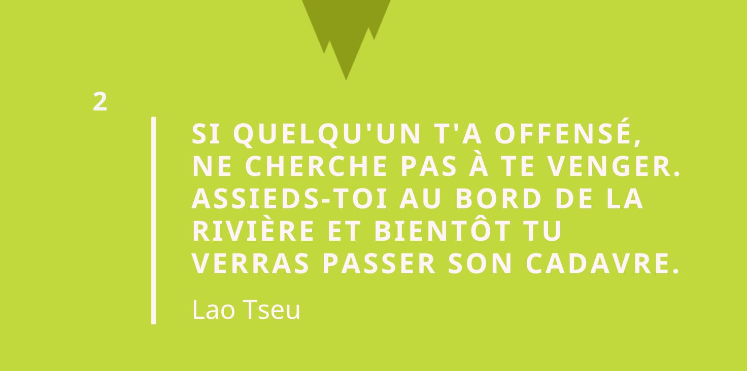 Citation taoïsme - Si quelqu'un t'a offensé, ne cherche pas à te venger. Assieds-toi au bord de la rivière et bientôt tu verras passer son cadavre.