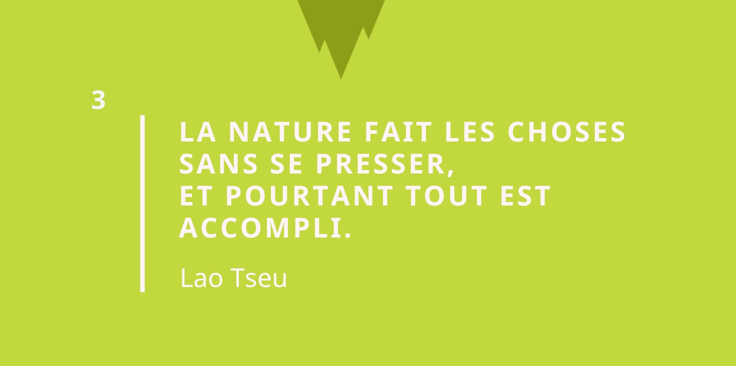 CItation taoïsme - La nature fait les choses sans se presser, 
et pourtant tout est accompli. 
