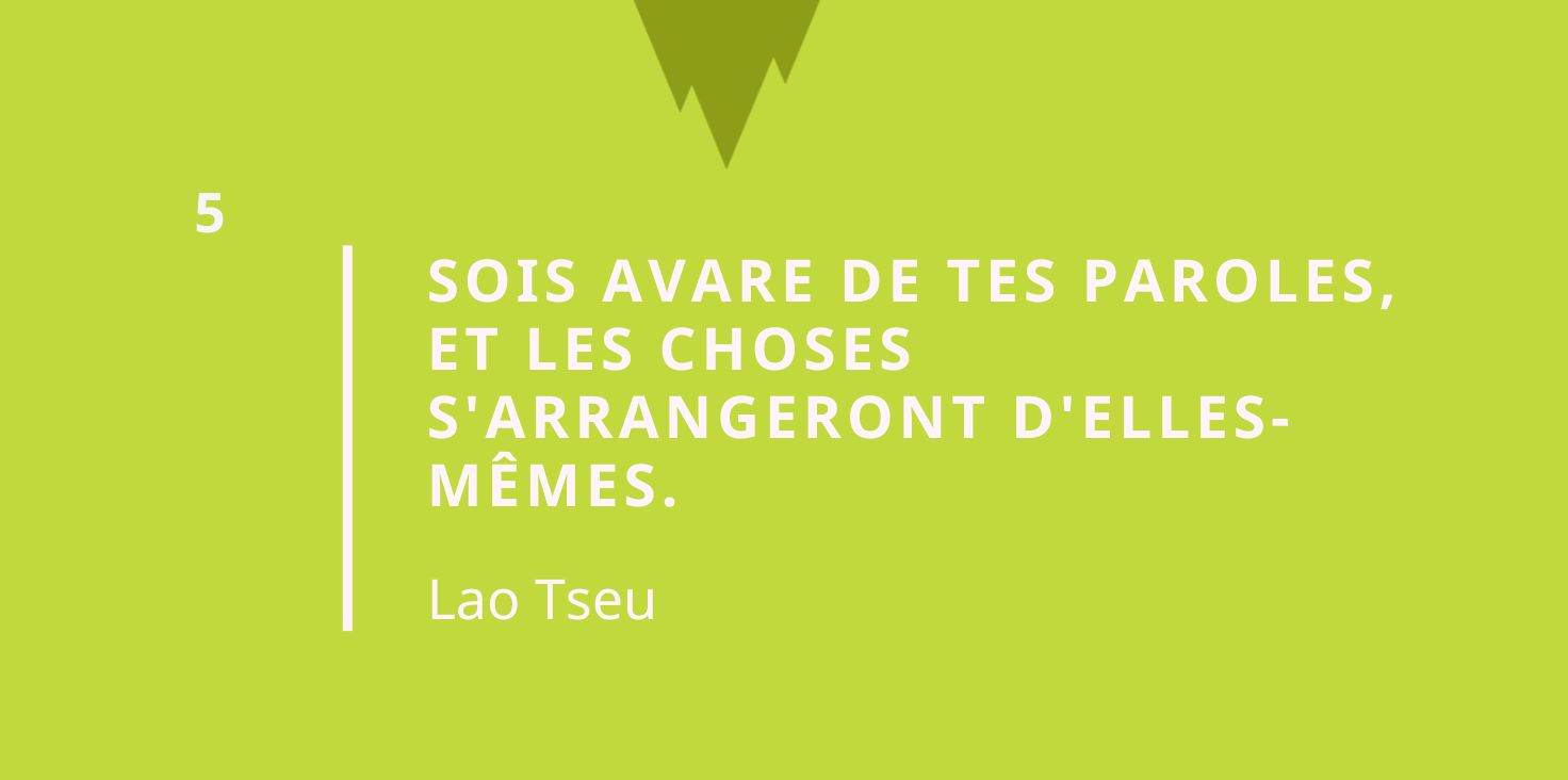 Citation taoïsme - Sois avare de tes paroles, et les choses s'arrangeront d'elles-mêmes.