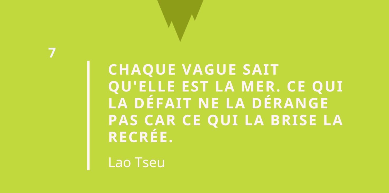 Citation taoïsme - Chaque vague sait qu'elle est la mer. Ce qui la défait ne la dérange pas car ce qui la brise la recrée.