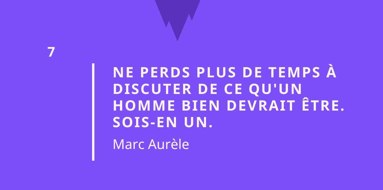 Citation stoïcisme: Ne perds plus de temps à discuter de ce qu'un homme bien devrait être : sois-en un. - Marc Aurèle